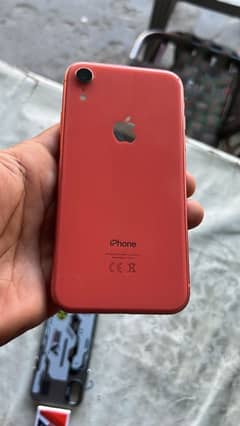 iPhone XR