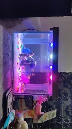 for sale fish aquarium