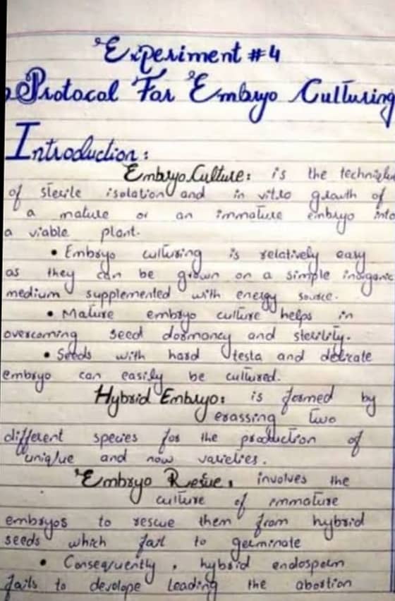 Handwriting Assignment work 0