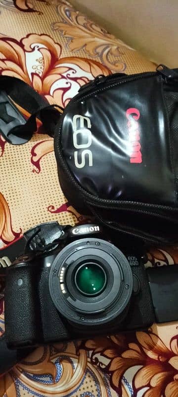 canon camera 60D with 50 m. m lens 2