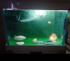 Fish Aquarium Good Condition