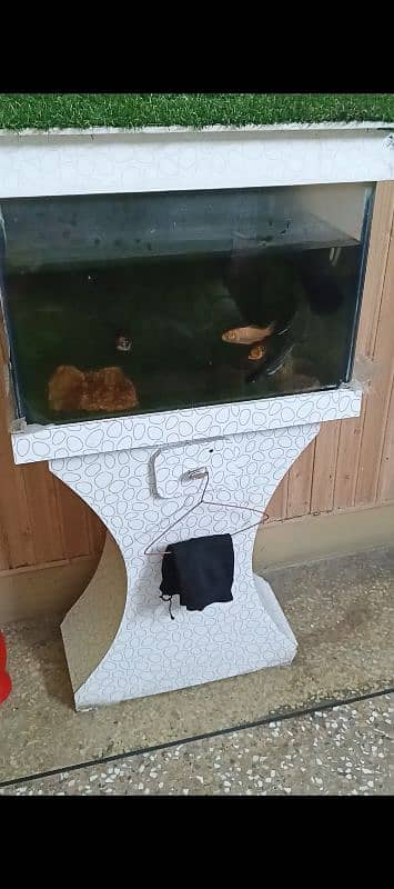 Fish Aquarium Good Condition 2