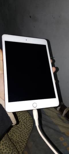 ipad mini 5