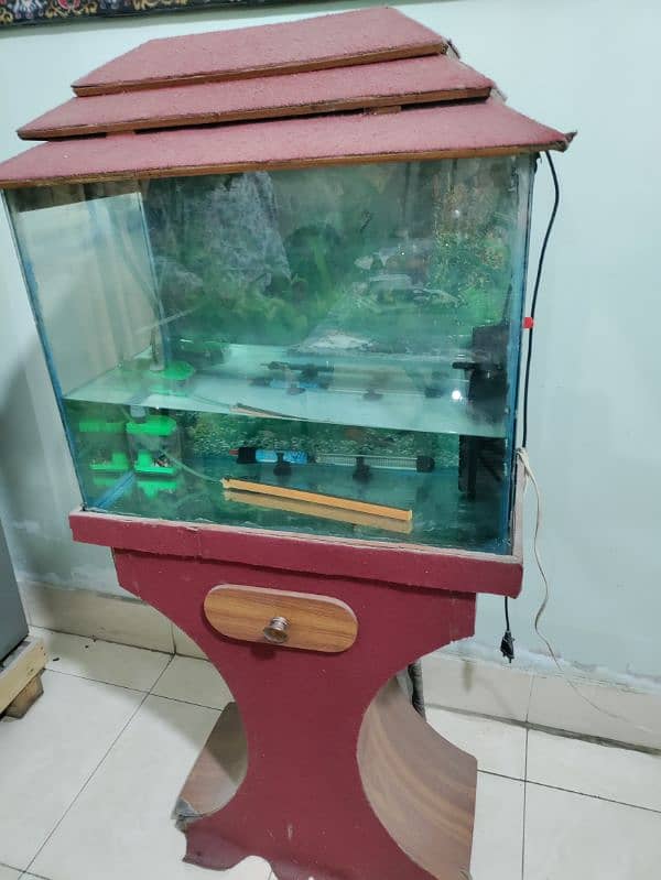 Fish Aquarium 2