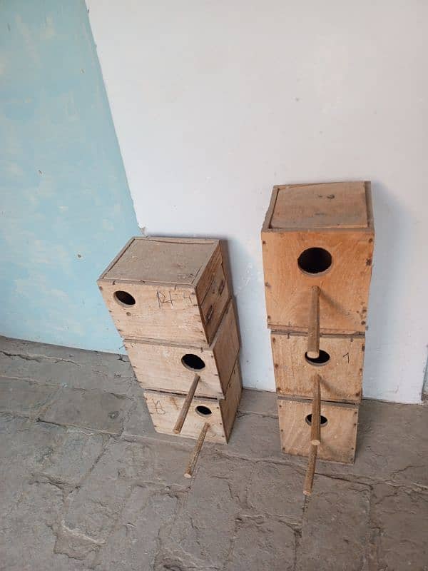 Birds Breeding box 1