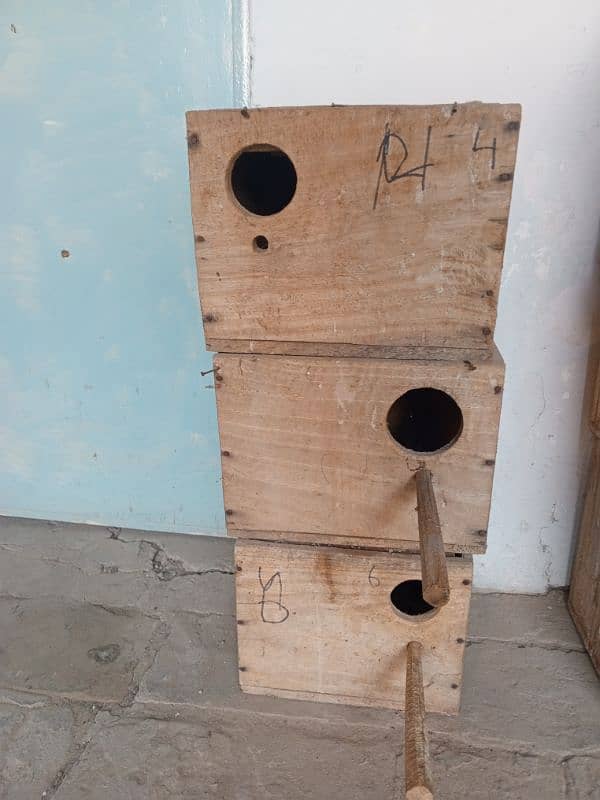 Birds Breeding box 2