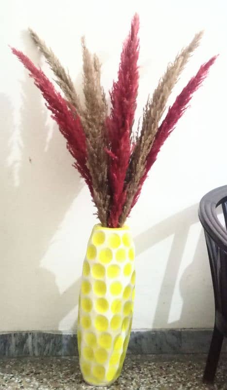 coloured pampass grass vase 4.5 feet 0