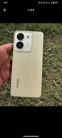 vivo