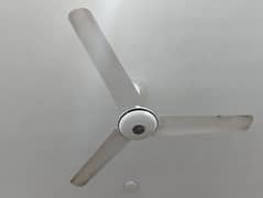 Pak Ceiling Fans 56" Expo Deluxe Model