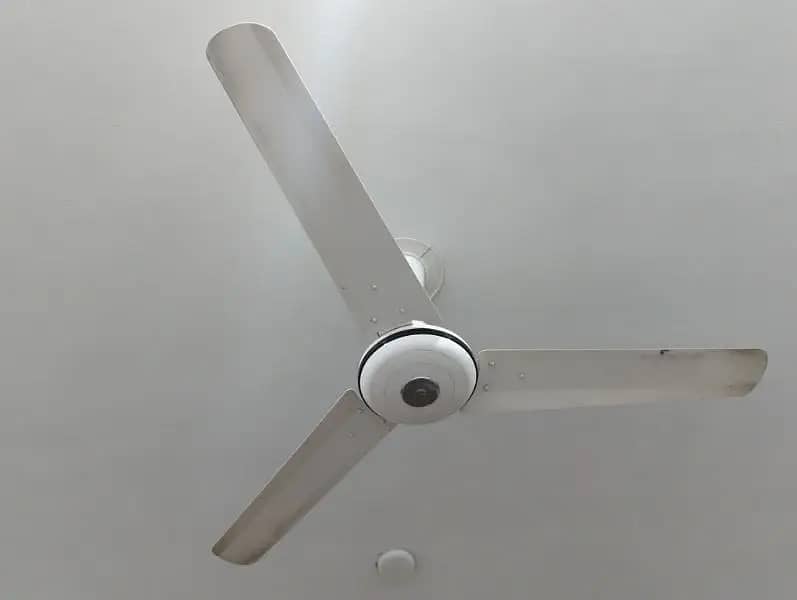 Pak Ceiling Fans 56" Expo Deluxe Model 0