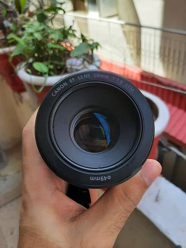 Canon EF 50mm 1.8 STM Lens | Brand New 10/10 ++ 1