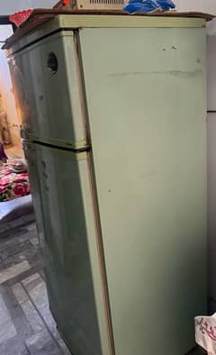 philips fridge