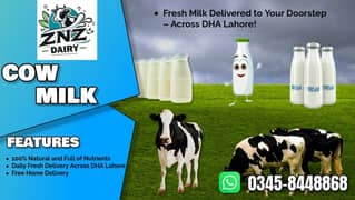 cow / Milking Cows / cow milk