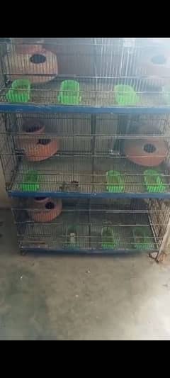 Cage for Birds