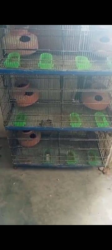 Cage for Birds 0