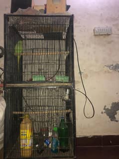 Parrot Cages 2/2 size