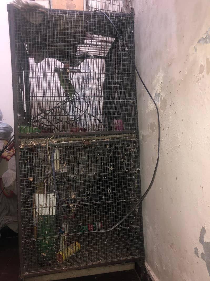 Parrot Cages 2/2 size 1