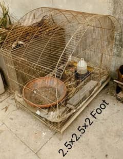 My Cage  Pinjra For sale Only Rs. 3999/