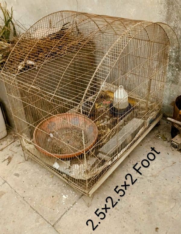 My Cage  Pinjra For sale Only Rs. 3499/ 0