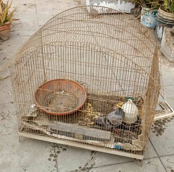 My Cage  Pinjra For sale Only Rs. 3499/ 1
