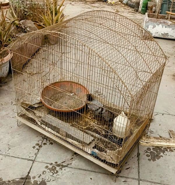 My Cage  Pinjra For sale Only Rs. 3499/ 2
