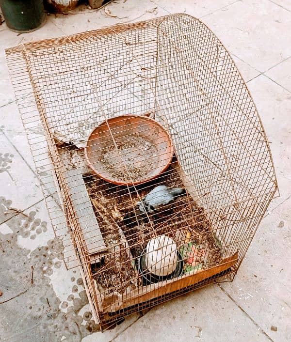 My Cage  Pinjra For sale Only Rs. 3499/ 3