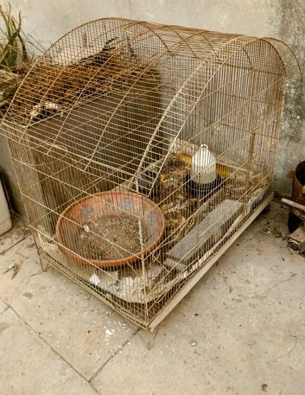 My Cage  Pinjra For sale Only Rs. 3499/ 4