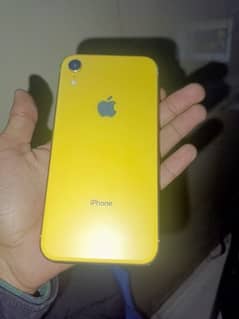 iphone Xr non pta jv 10/10 waterpack 64 GB