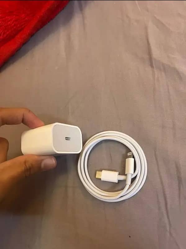 iphone Orginal Charger + Orginal Type-C Cable 6