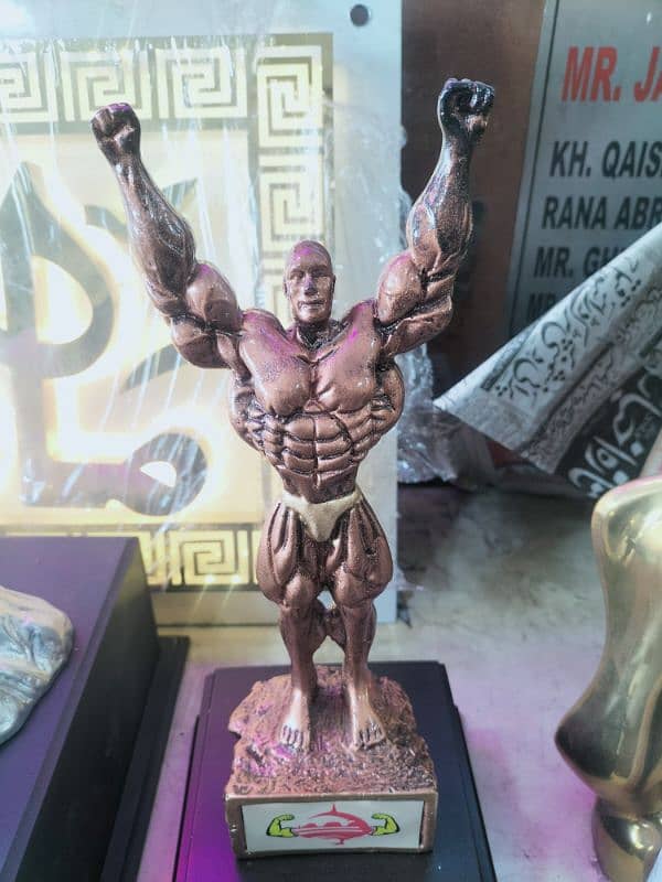 AWARDS,CRICKET TROPHY,SPORTS TROPHY Body Bulding Whatsapp 03084017127 1