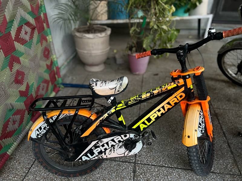 kids bicycle 1