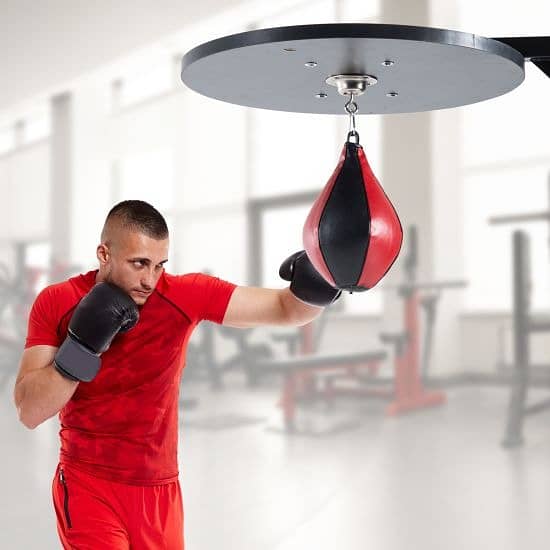 Boxing Bag / Punching Bag /Speed ball Boxing / Punching Bag with Stand 0