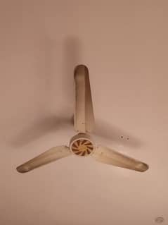 3 ceiling fan