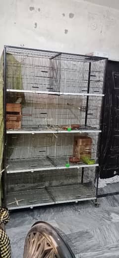 8 and 4 portion cages with 4 FREE wooden boxes/pots