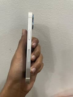 iphone 12 mini