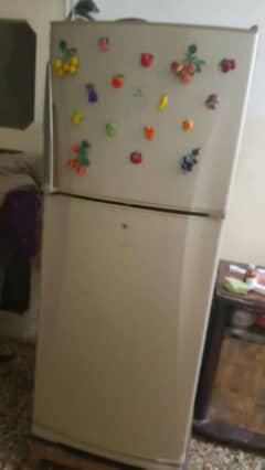 Dawlance Signature Refrigerator