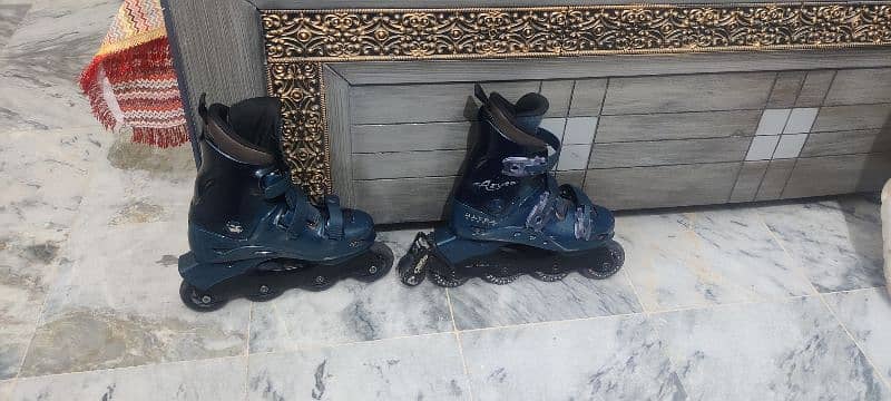 Skating Shoes 1