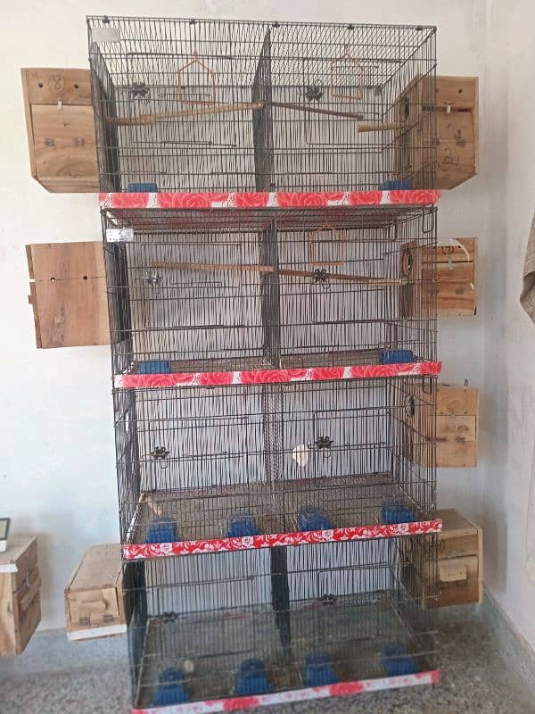 5 portion cages for sale (urgent) 1