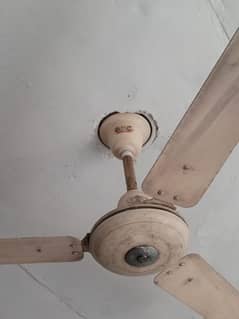 Used GFC Fan for in cheapest price