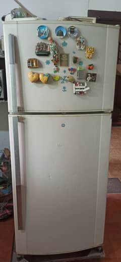 Dawlance fridge full size in excellent condition.