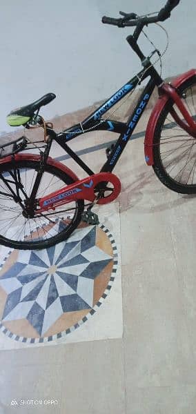 BMX cycle lush condition 3