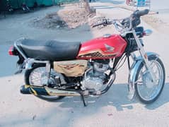 Honda 125 2023/24 Gold edition