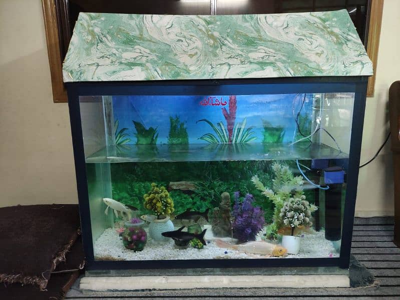 Fish Aquarium 2