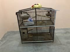 cAge for sale four porchen