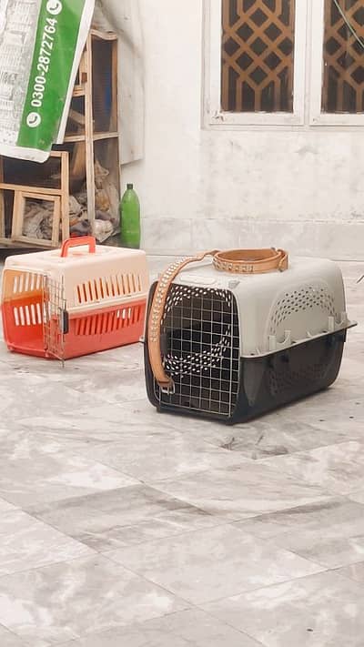 traveling Jet Box for Cats