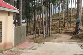 Residential Plot Is Available On Easy Installment