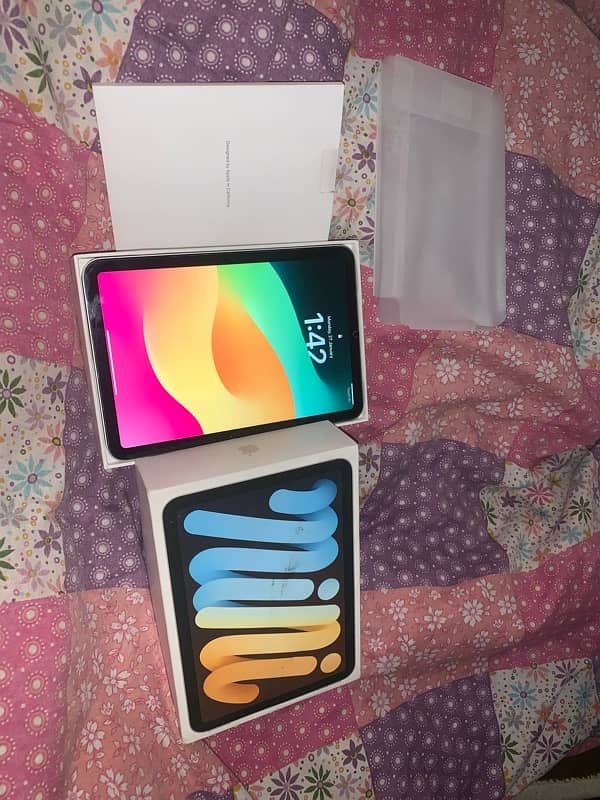 I Pad Mini 6 0