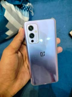 one plus 9.03186033700 contact me