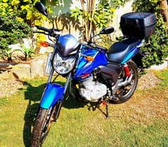 Suzuki GS-125 2023