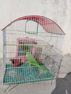 paratt for sell wahcantt location godwal WhatsApp pliz